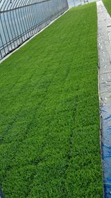 팜모닝 금쪽같은 내 작물 자랑하기·참여 게시글 이미지