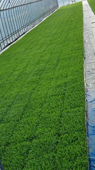 김동회님의 금쪽같은 내 작물 자랑하기 · 참여 작성글 사진