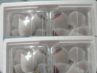 심수보님의 금쪽같은 내 작물 자랑하기 · 참여 작성글 사진