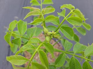 김포맘님의 자유주제 · 자유게시판 작성글 사진