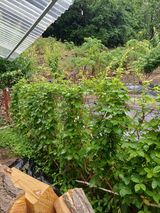 팜모닝 금쪽같은 내 작물 자랑하기·참여 게시글 이미지