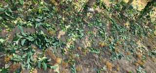 조현덕님의 자유주제 · 자유게시판 작성글 사진