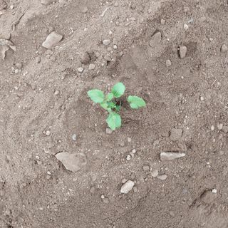 박수연님의 기타작물 · 자유게시판 작성글 사진