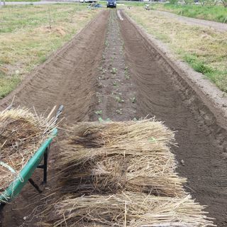 박수연님의 기타작물 · 자유게시판 작성글 사진