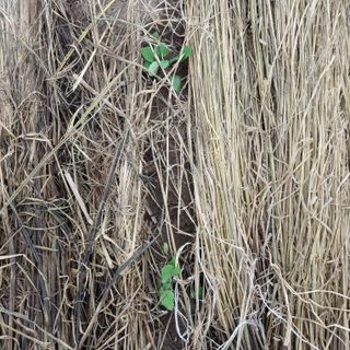 박수연님의 기타작물 · 자유게시판 작성글 사진