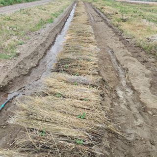 박수연님의 기타작물 · 자유게시판 작성글 사진