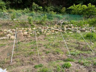 도곡님의 기타작물 · 자유게시판 작성글 사진