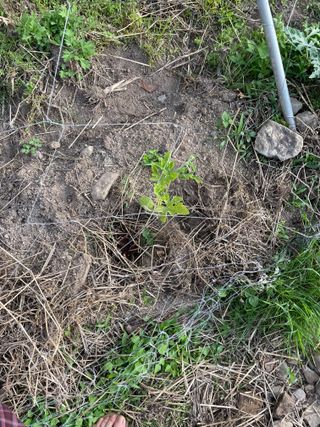 도곡님의 기타작물 · 자유게시판 작성글 사진