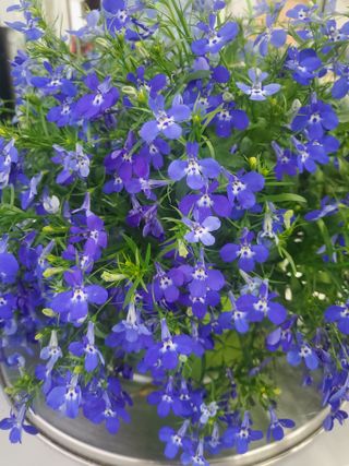 서정훈 님의 자유주제 · 자유게시판 작성글 사진