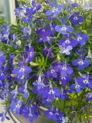 서정훈 님의 자유주제 · 자유게시판 작성글 사진