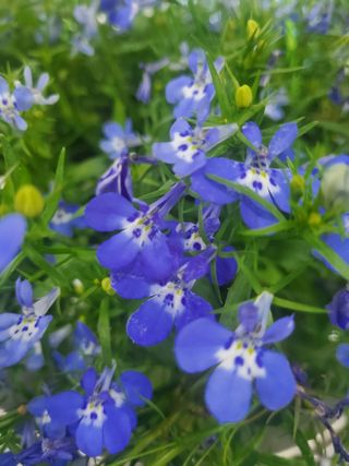 서정훈 님의 자유주제 · 자유게시판 작성글 사진