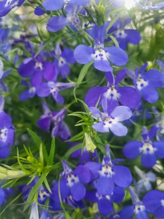 서정훈 님의 자유주제 · 자유게시판 작성글 사진