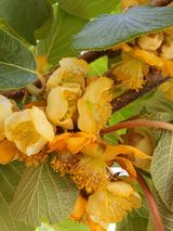 팜모닝 기타작물·자유게시판 게시글 이미지