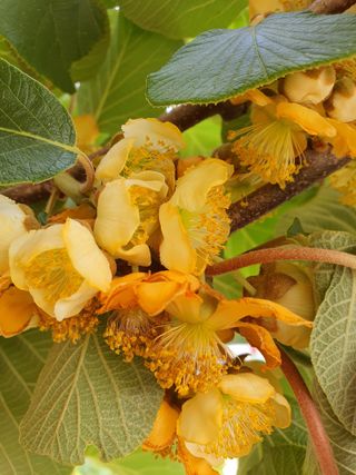 jush님의 기타작물 · 자유게시판 작성글 사진