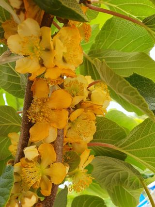 jush님의 기타작물 · 자유게시판 작성글 사진