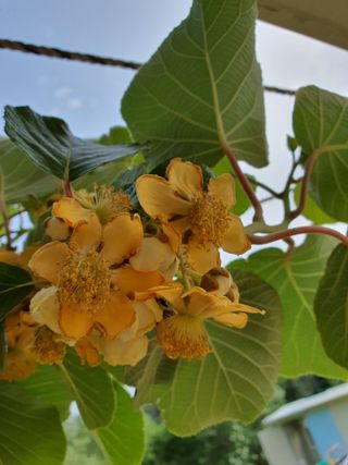 jush님의 기타작물 · 자유게시판 작성글 사진