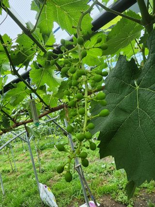 김종현님의 우리동네 · 동네정보 작성글 사진