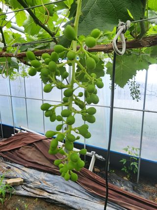 김종현님의 우리동네 · 동네정보 작성글 사진