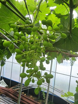 김종현님의 우리동네 · 동네정보 작성글 사진