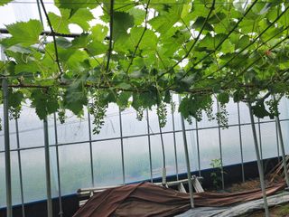 김종현님의 우리동네 · 동네정보 작성글 사진