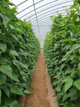 박인석님의 자유주제 · 자유게시판 작성글 사진