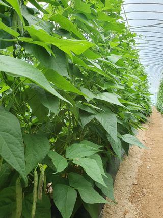 박인석님의 자유주제 · 자유게시판 작성글 사진