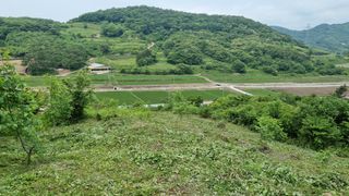 조현길님의 금쪽같은 내 작물 자랑하기 · 참여 작성글 사진