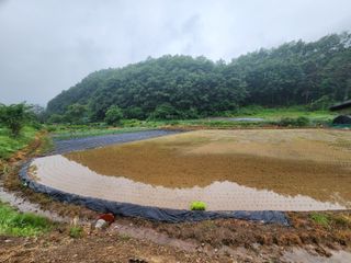 호산권순걸님의 금쪽같은 내 작물 자랑하기 · 참여 작성글 사진