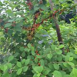 팜모닝 금쪽같은 내 작물 자랑하기·참여 게시글 이미지