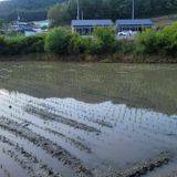 팜모닝 금쪽같은 내 작물 자랑하기·참여 게시글 이미지