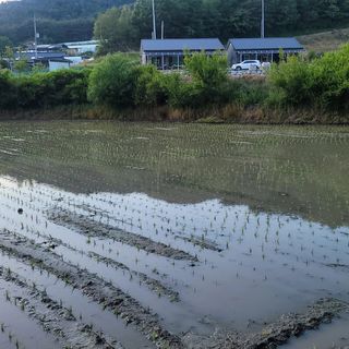 김동철님의 금쪽같은 내 작물 자랑하기 · 참여 작성글 사진