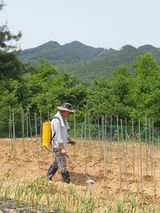 팜모닝 금쪽같은 내 작물 자랑하기·참여 게시글 이미지