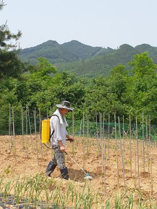 김태성님의 금쪽같은 내 작물 자랑하기 · 참여 작성글 사진