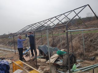 황정호님의 금쪽같은 내 작물 자랑하기 · 참여 작성글 사진