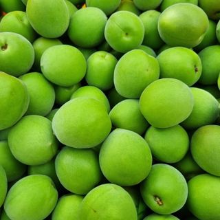 대봉매실 인생이막님의 금쪽같은 내 작물 자랑하기 · 참여 작성글 사진