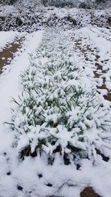 팜모닝 자유주제·자유게시판 게시글 이미지