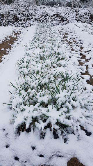 휴민트신님의 자유주제 · 자유게시판 작성글 사진