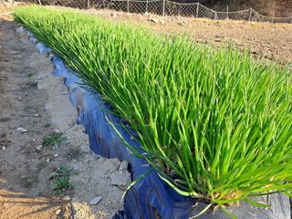 휴민트신님의 자유주제 · 자유게시판 작성글 사진