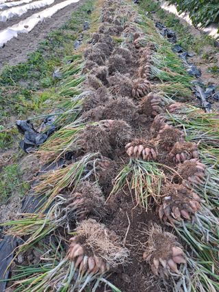 휴민트신님의 자유주제 · 자유게시판 작성글 사진