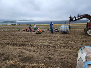 달콤한메론님의 금쪽같은 내 작물 자랑하기 · 참여 작성글 사진