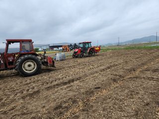 달콤한메론님의 금쪽같은 내 작물 자랑하기 · 참여 작성글 사진