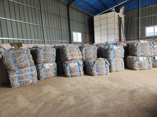 달콤한메론님의 금쪽같은 내 작물 자랑하기 · 참여 작성글 사진