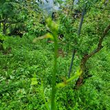 팜모닝 자유주제·사진전 게시글 이미지