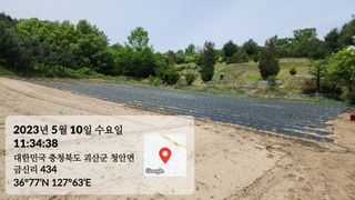 이인배님의 고추 · 파종•정식 작성글 사진