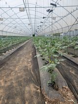 팜모닝 금쪽같은 내 작물 자랑하기·참여 게시글 이미지