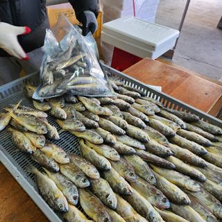 임성환님의 장터이야기 · 자유게시판 작성글 사진