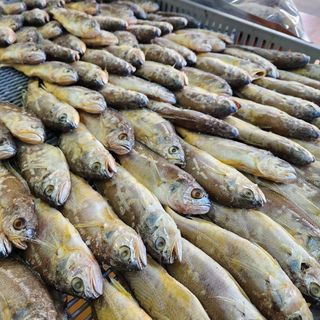 임성환님의 장터이야기 · 자유게시판 작성글 사진