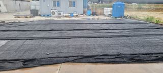 김효정님의 금쪽같은 내 작물 자랑하기 · 참여 작성글 사진