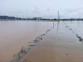 힐링농장님의 벼 · 자유게시판 작성글 사진