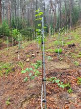 팜모닝 금쪽같은 내 작물 자랑하기·참여 게시글 이미지